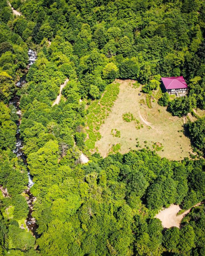 Mtirala National Park Hotel Orbeza Koboeleti Buitenkant foto